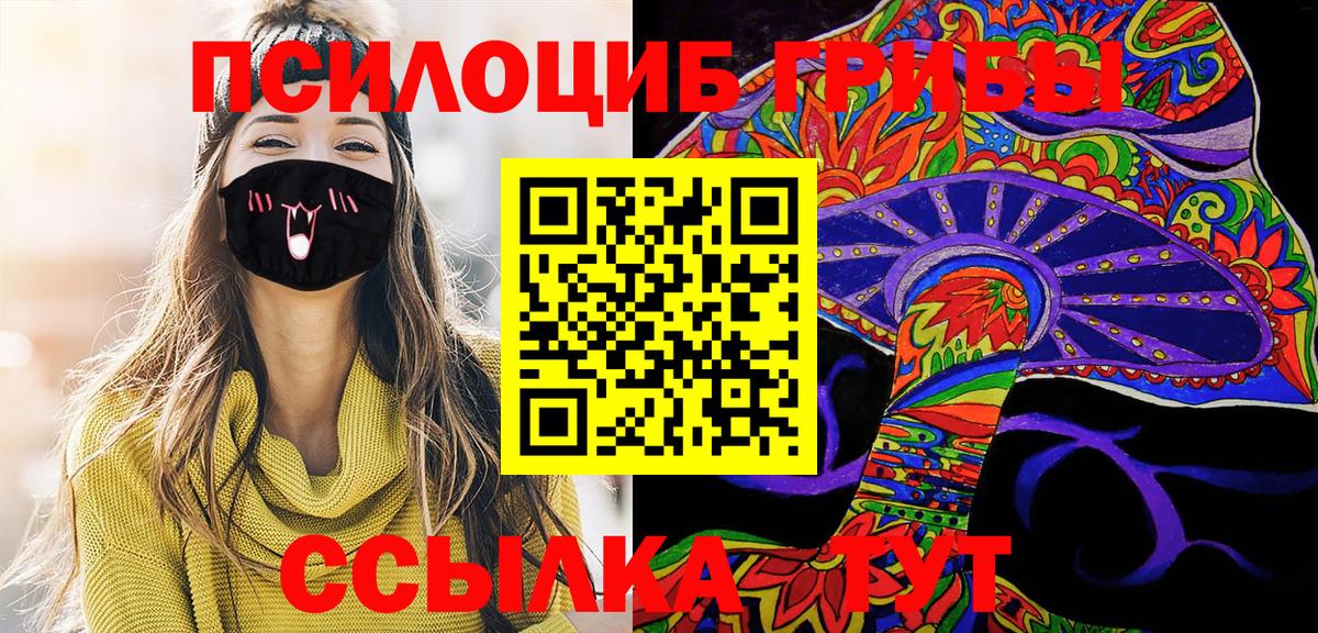 Псилоцибиновые грибы Cubensis Кушва